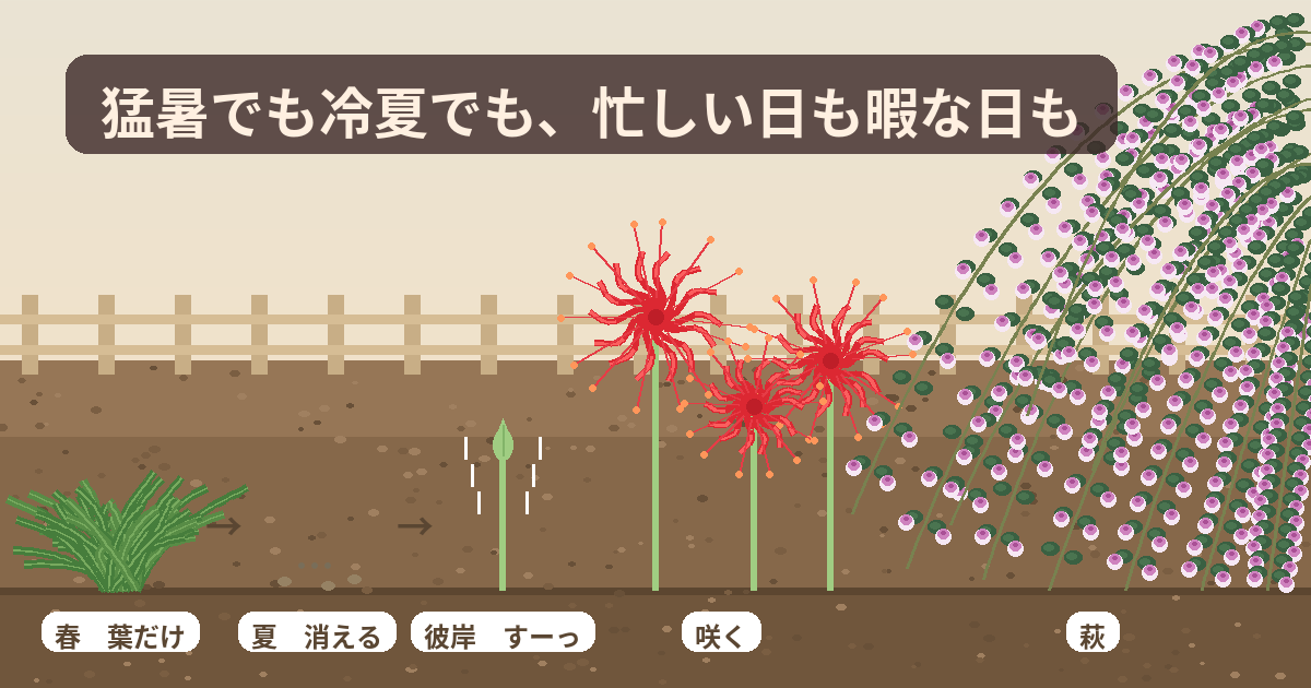 神様、定期実行は現状維持で