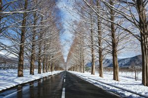 年末年始休業のお知らせ（2024年-2025年）